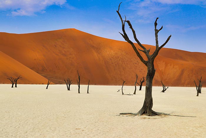 Tour Safari Guidato Privato in Stretched Landcruiser-Dead-Vlei-Sossusvlei