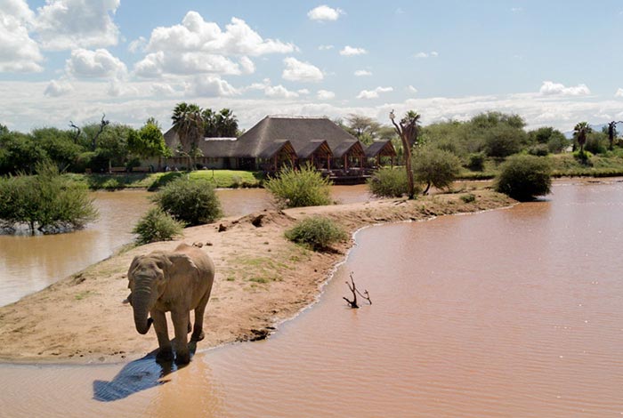 Tour Safari Guidato Privato in Stretched Landcruiser-Erindi-Private-Nature-Reserve