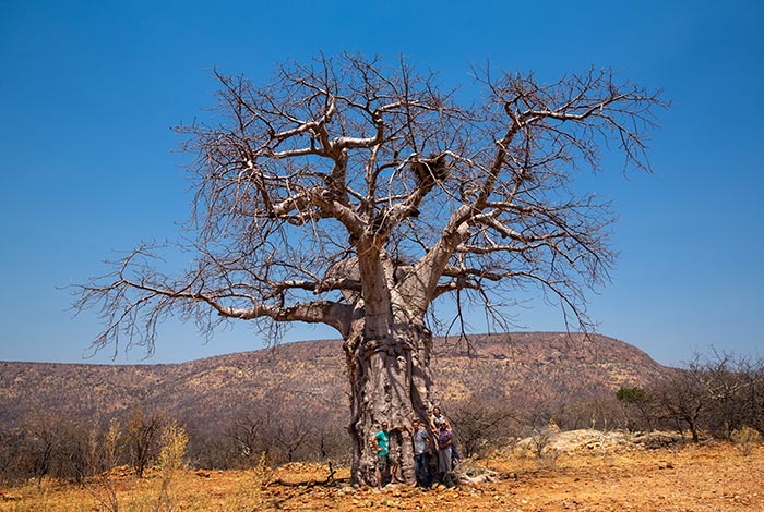 Tour del Kaokoland fuoristrada pesante-damaraland