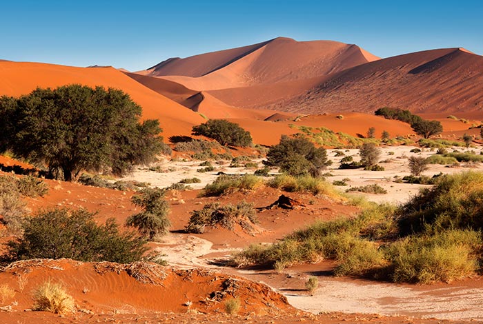 Tour Safari Guidato Privato in Stretched Landcruiser-Namib-Desert