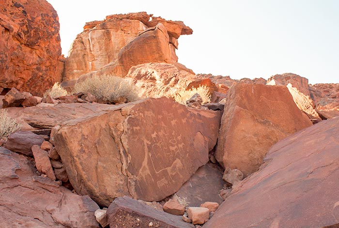 Tour Safari Guidato Privato in Stretched Landcruiser-Twyfelfontein