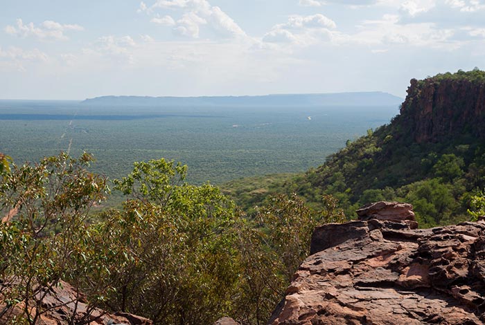 Tour Safari Guidato Privato in Stretched Landcruiser-Waterberg-Plateau