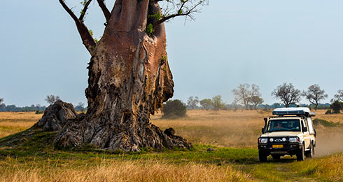 Namibia-Self-Drive-4x4-noleggio-Itinerario-Combi-Botswana