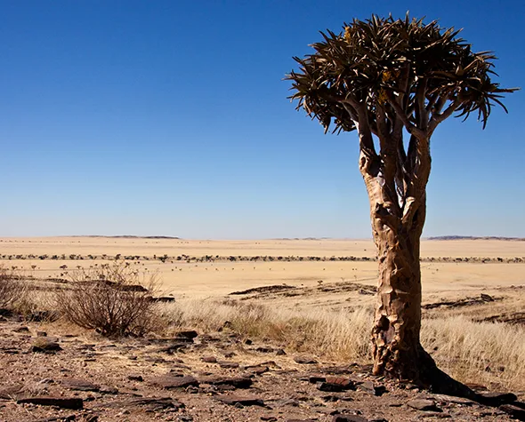 Namibia-Self-Drive-Itinerario-a-Tutto-Tondo