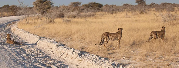 Namibia-Self-Drive-Itinerario-Centrale