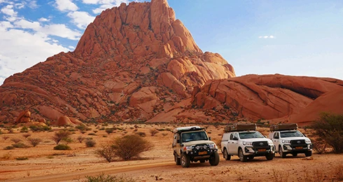 Safari guidato in convoglio Namibia