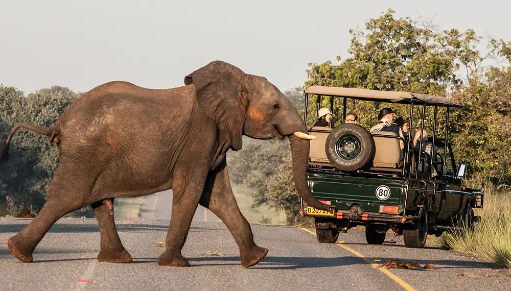 Namibia-Self-Drive-Itinerario-Attività-in-Namibia