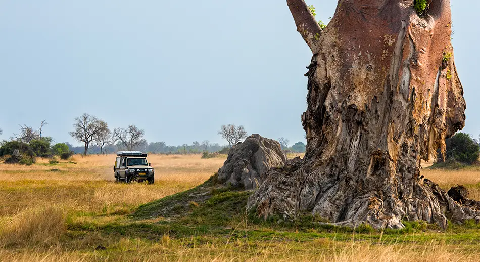 Namibia-Vacanze-Self-Drive-su-misura-in-con-4x4-a-noleggio-Preventivi