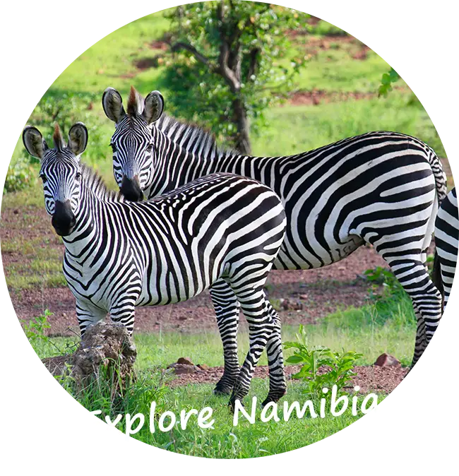 Namibia-Self-Drive-Itinerario-Tariffe-Self-Drive-Safari