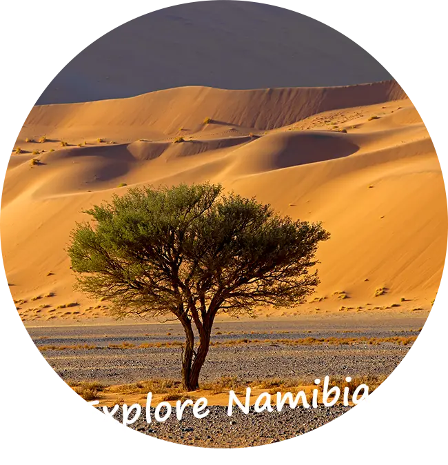 Self-Drive-Safari-Namibia-Viaggiare-in-Namibia