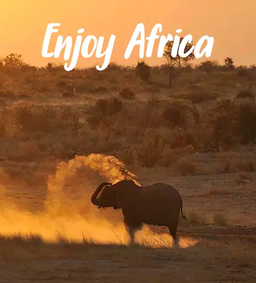 Self-Drive-Safari-Namibia-Viaggiare-in-Namibia-Enjoy-Africa