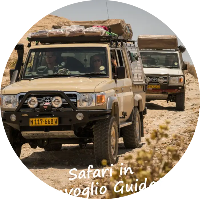 Namibia Safari in Convoglio Guidati