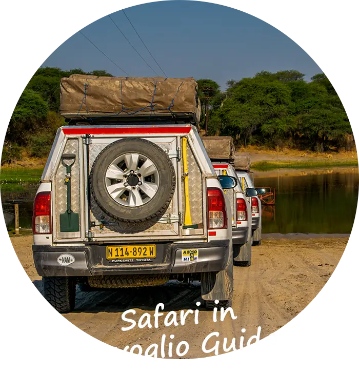 Namibia Safari in Convoglio Guidati