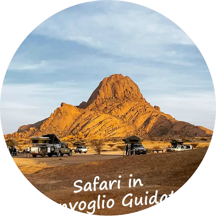 Namibia Safari in Convoglio Guidati