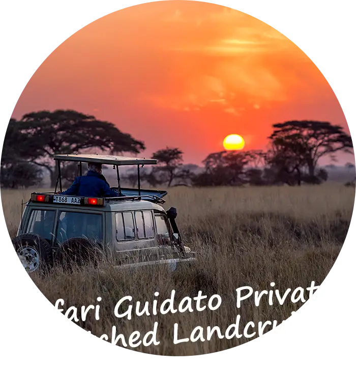 Namibia Tour safari guidato privato in Stretched Landcruiser