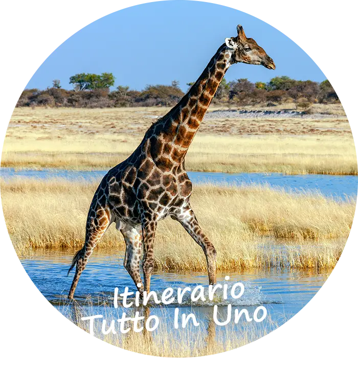 Namibia-self-drive-itinerario-tutto-in-uno