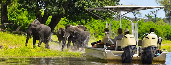 Namibia-supplemento-self-drive-cascate-vittoria-chobe