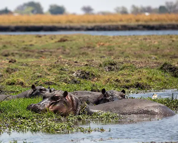 Namibia-supplemento-self-drive-cascate-vittoria-chobe