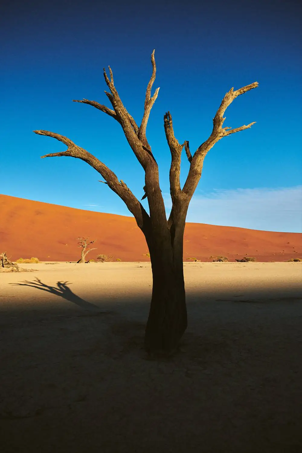 Photo Tour Guidato Iconic Namibia--Sossusvlei e Deadvlei