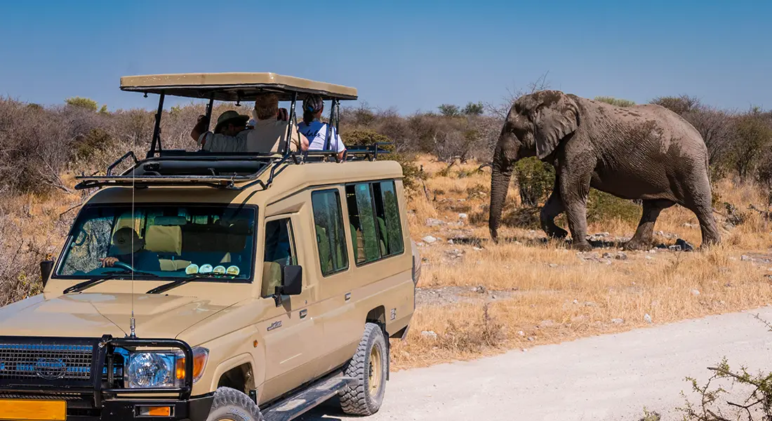 Tour Safari Guidato Privato in Stretched Landcruiser