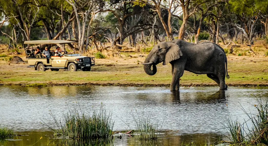 Tour guidato fuoristrada in Botswana