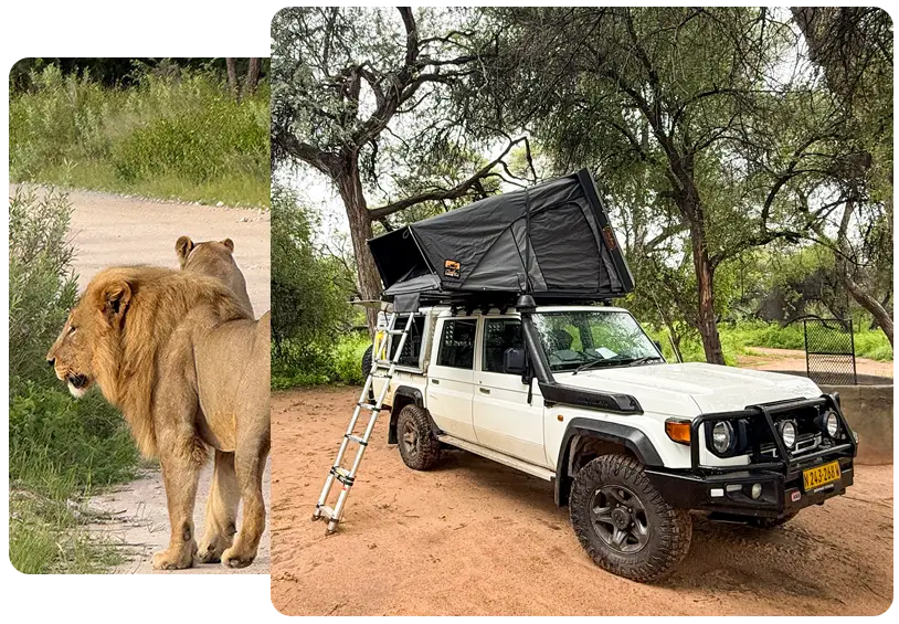 Indimenticabili Safari Self-Drive e Privati Guidati in Namibia
