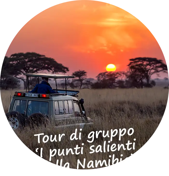 Tour di gruppo I punti salienti della Namibia